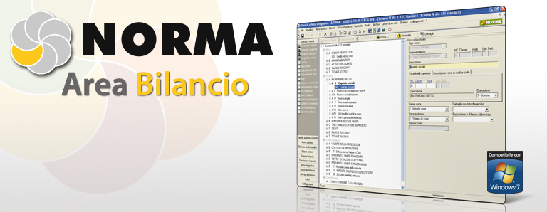 Norma Area Bilancio