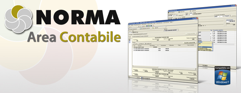 Norma Area Contabile