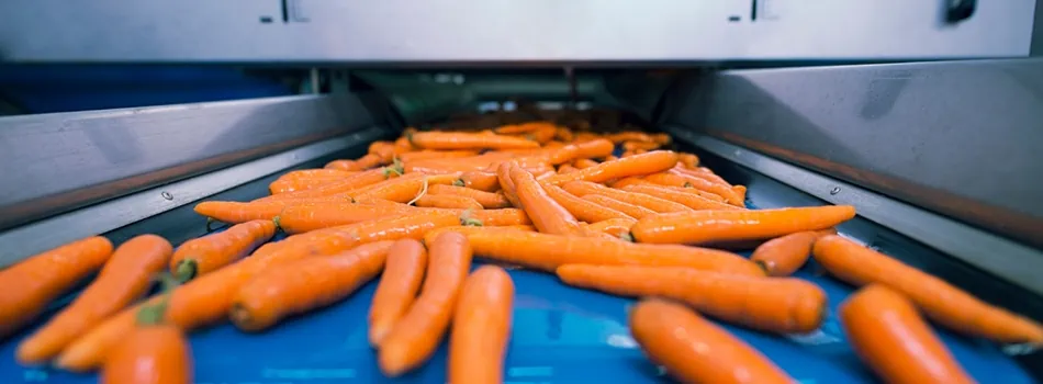 Le carote in un macchinario di produzione alimentare a controllo MES 4.0